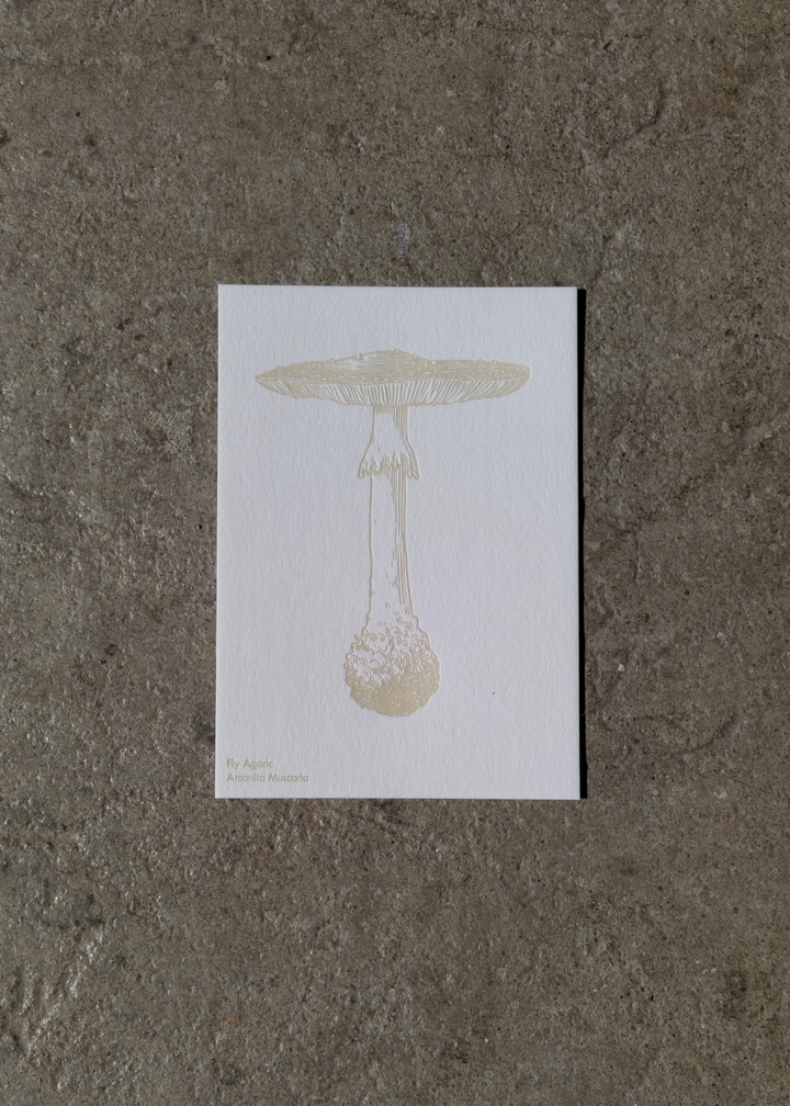 Watercolor Mushroom Postcards