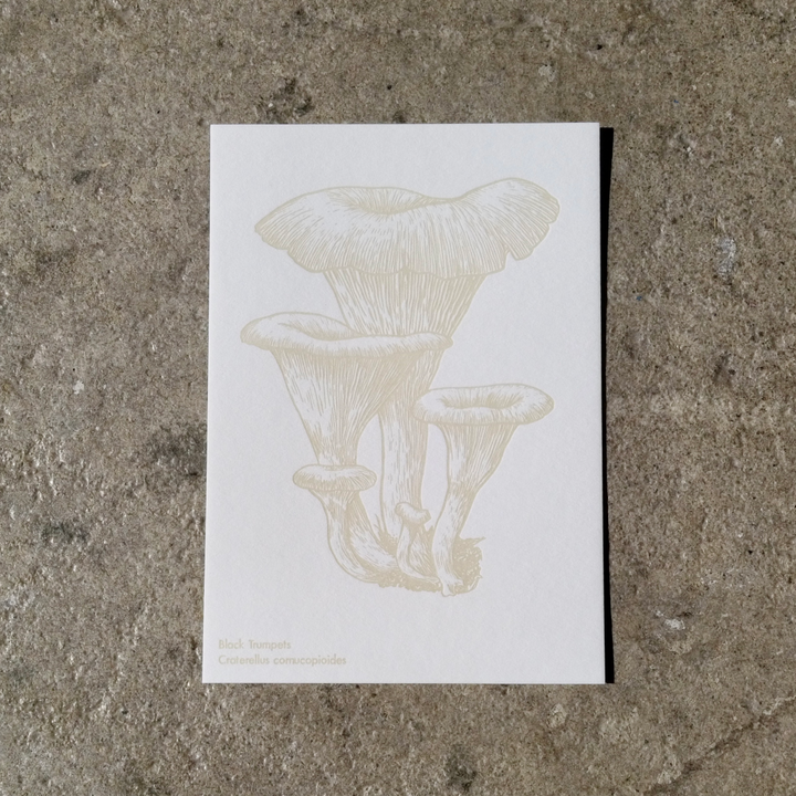 Watercolor Mushroom Postcards