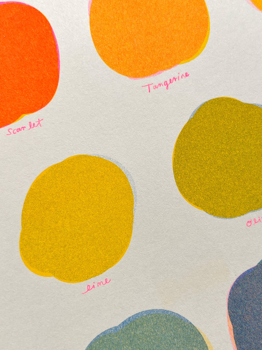 Riso Color Swatch in Blue, Yellow and Fluorescent Pink