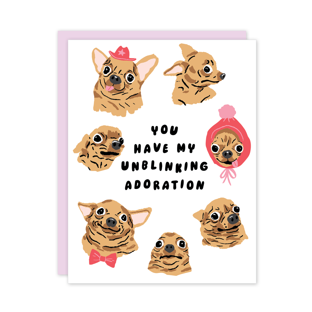 Unblinking Dog Chihuahua Love Friendship Card