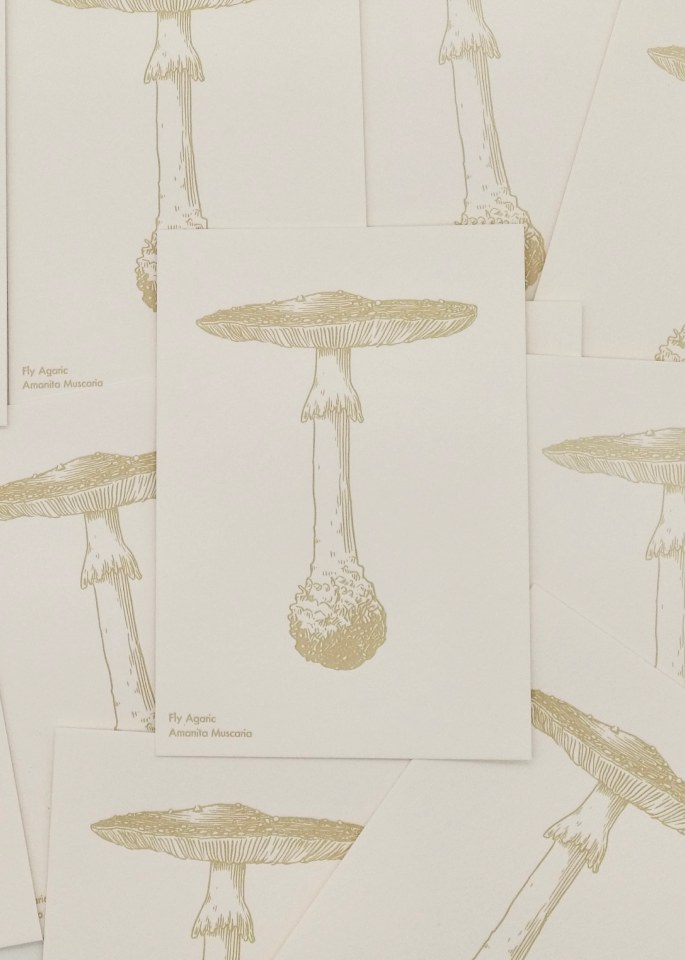 Watercolor Mushroom Postcards