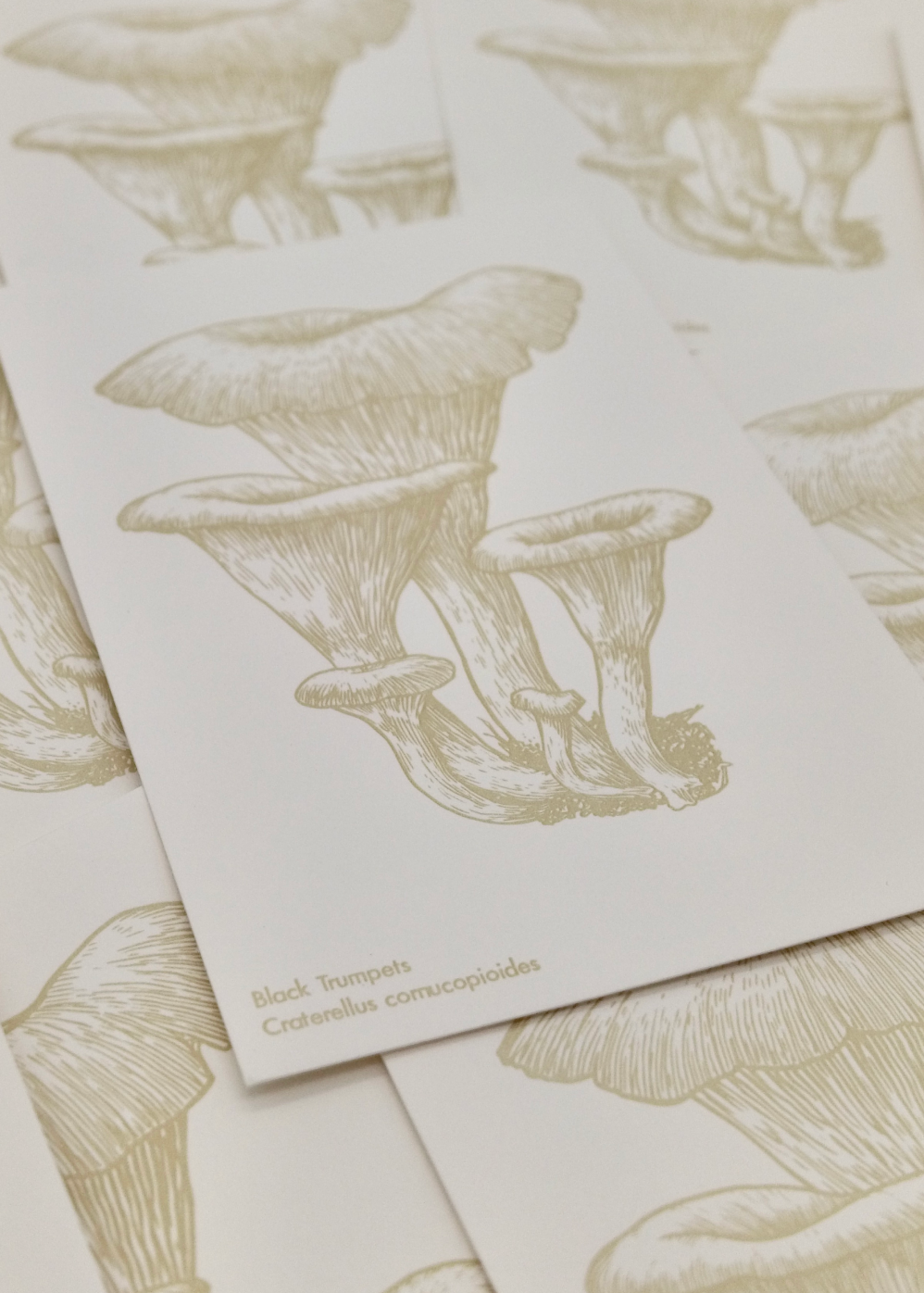 Watercolor Mushroom Postcards