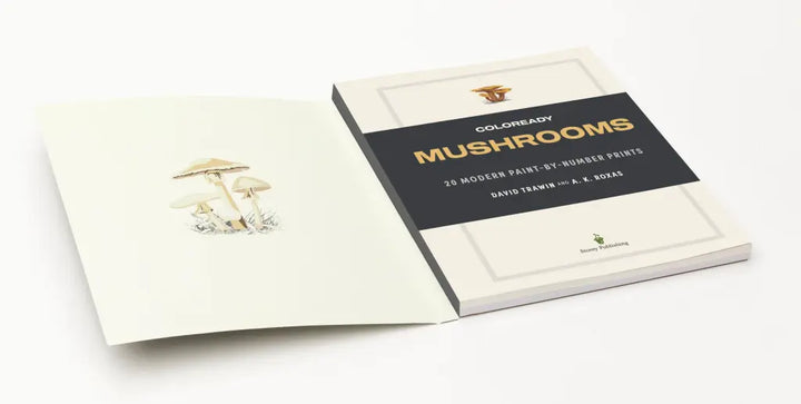 Coloready Mushrooms: 20 Modern Paint-By-Number Prints