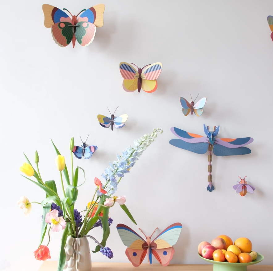 Studio Roof Bugs and Beetles 3D Wall Decoration