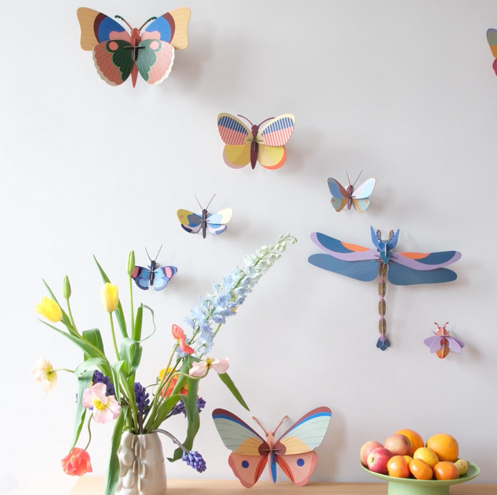 Studio Roof Bugs and Beetles 3D Wall Decoration