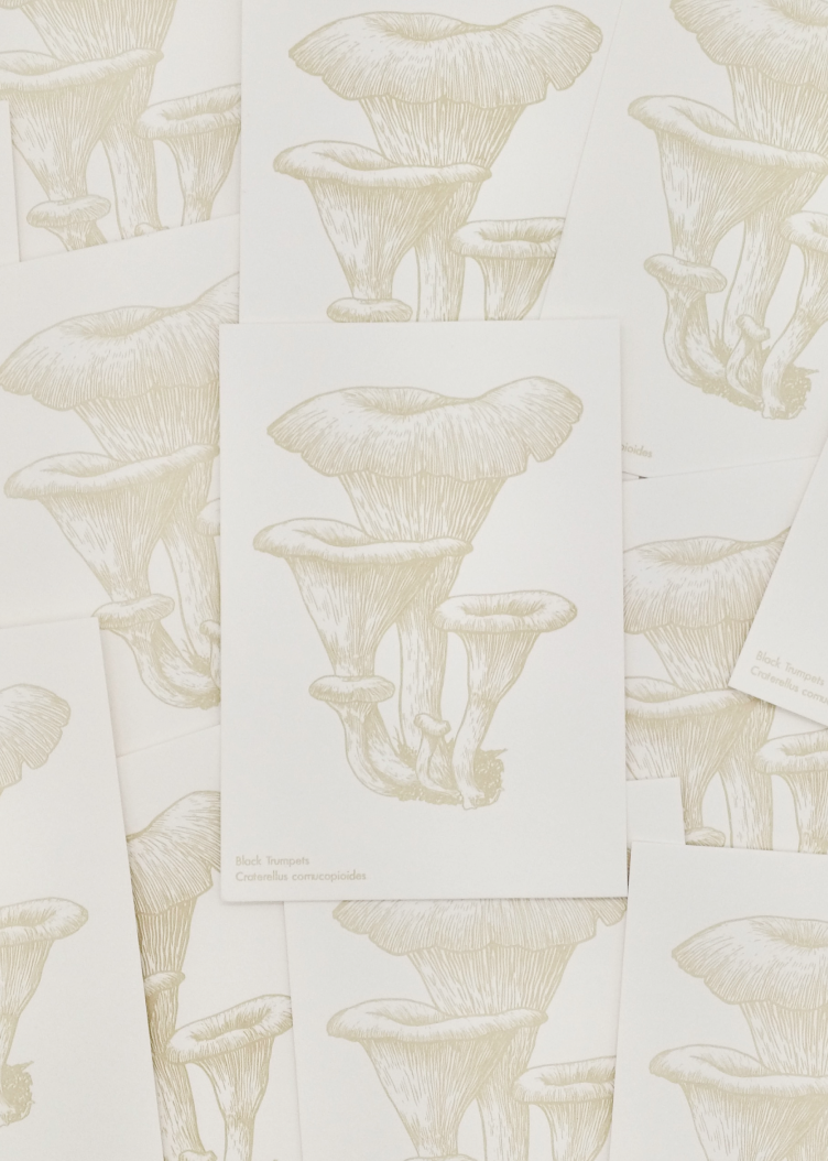 Watercolor Mushroom Postcards