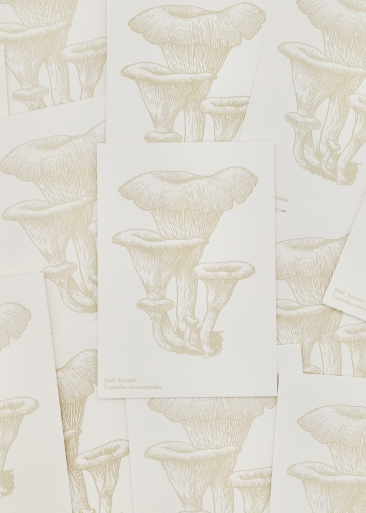 Watercolor Mushroom Postcards