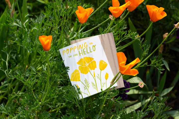 Popping By Poppies Letterpress Card
