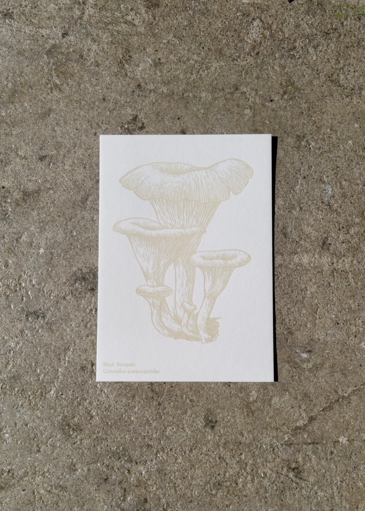 Watercolor Mushroom Postcards