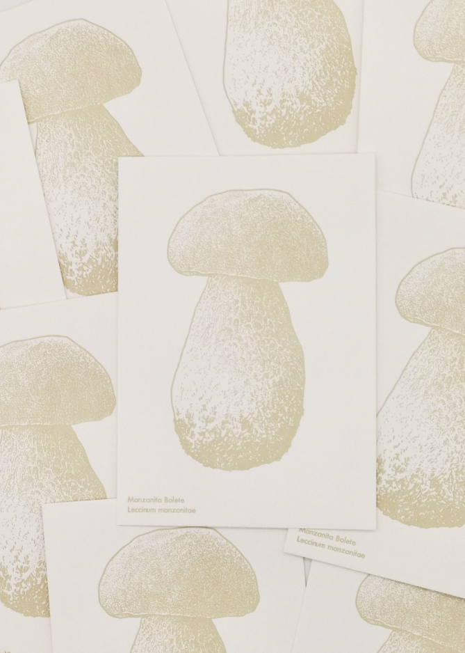 Watercolor Mushroom Postcards