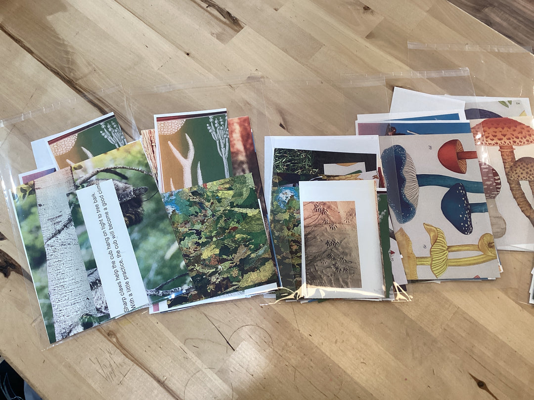 Collage Kits