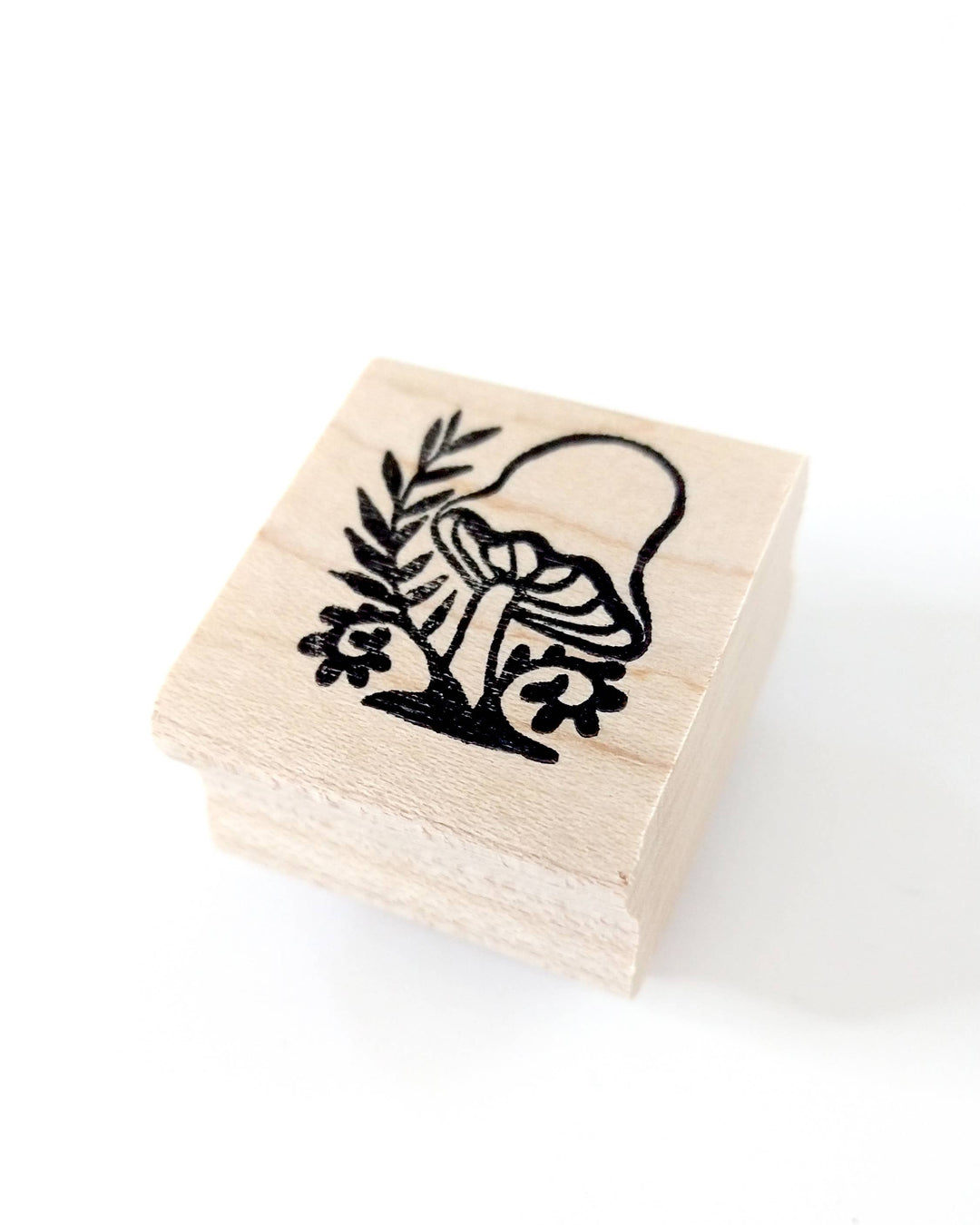 Mushroom and Fern