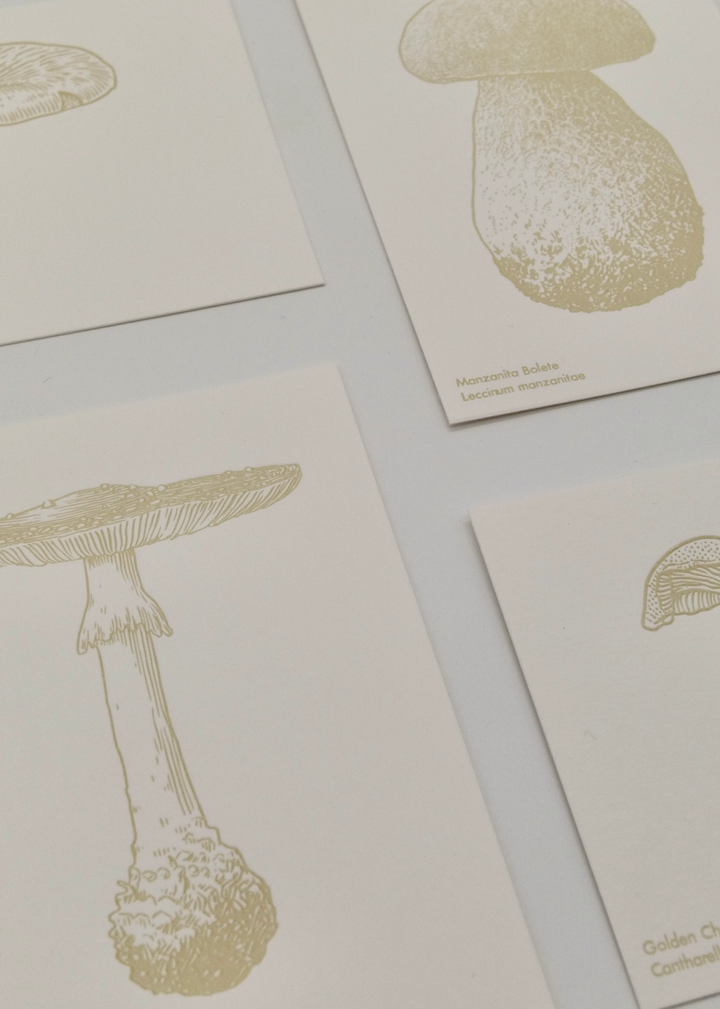 Watercolor Mushroom Postcards