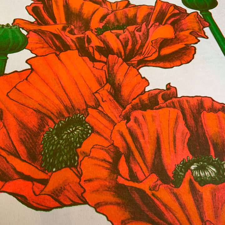 Poppy Risogprah Print