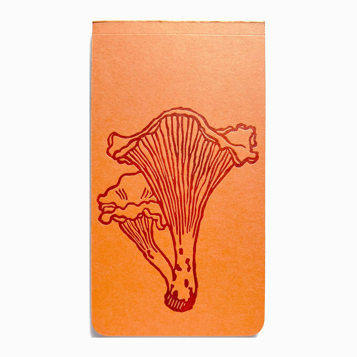 Chanterelle Mushroom Jotter Notepad