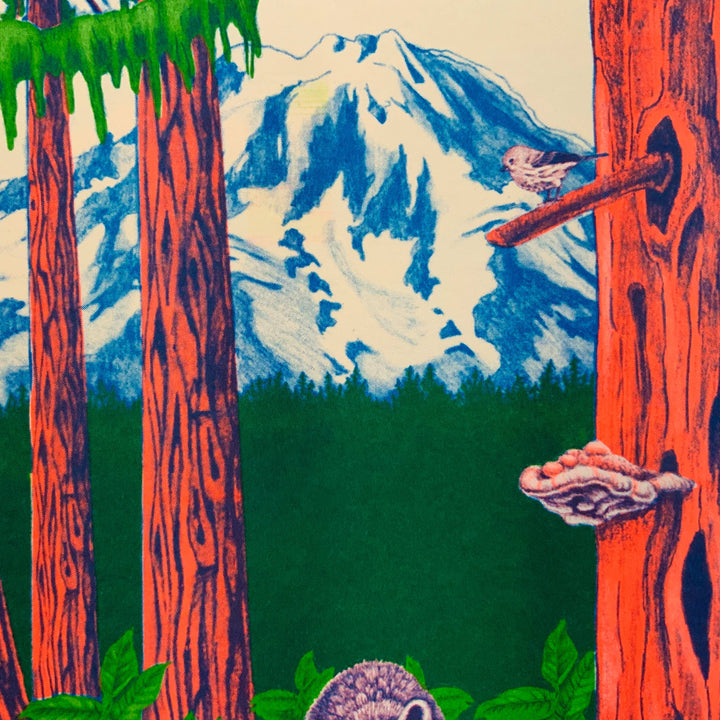 Nature Riso Print