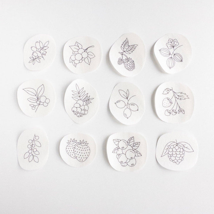 Berry Stick and Stitch Embroidery Patterns