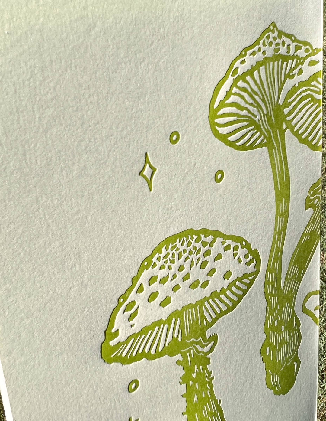 Frog and mushroom Blank Notebook