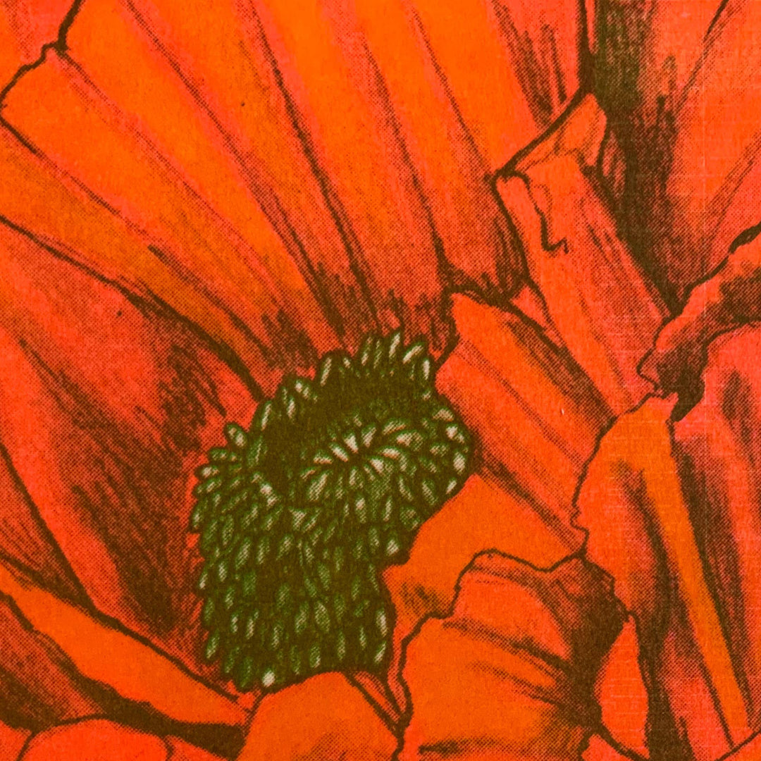 Poppy Risogprah Print