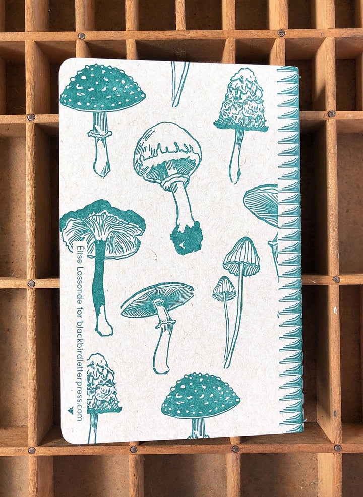Mushrooms Blank Notebook