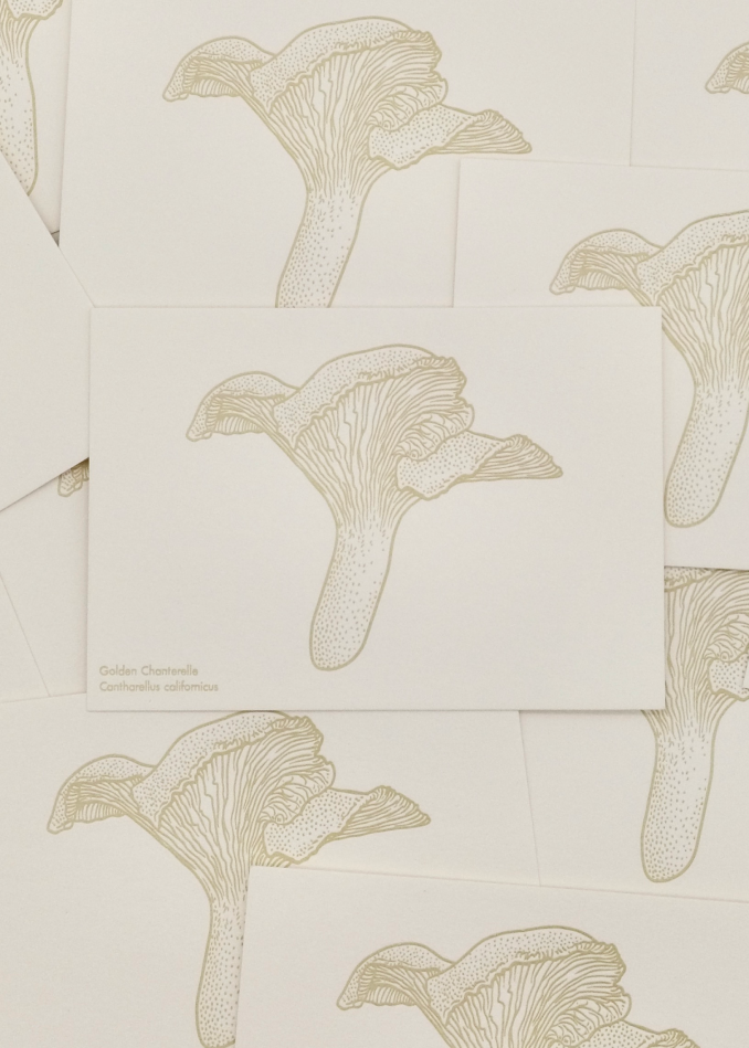 Watercolor Mushroom Postcards