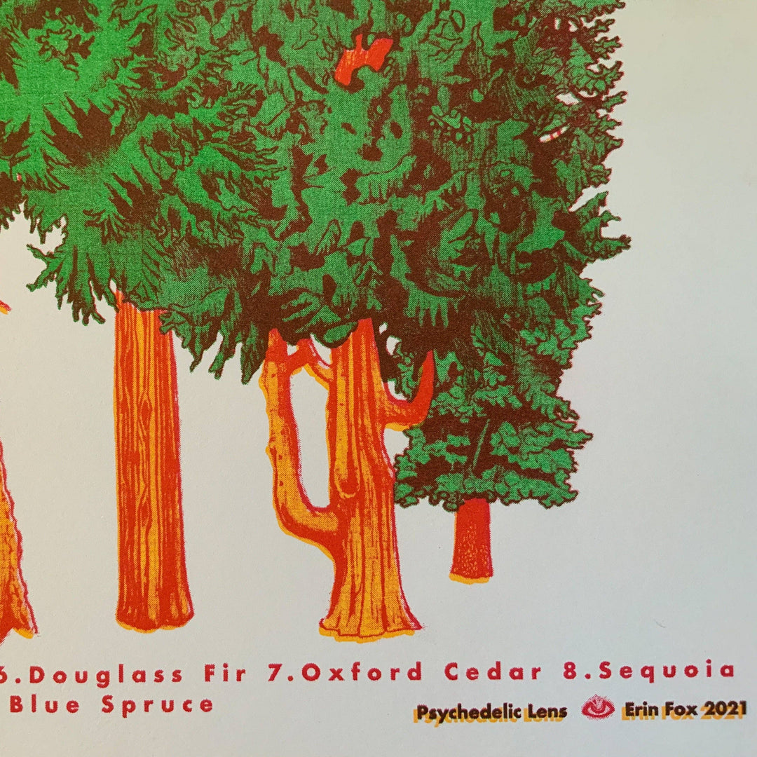 Conifer Tree Riso Print