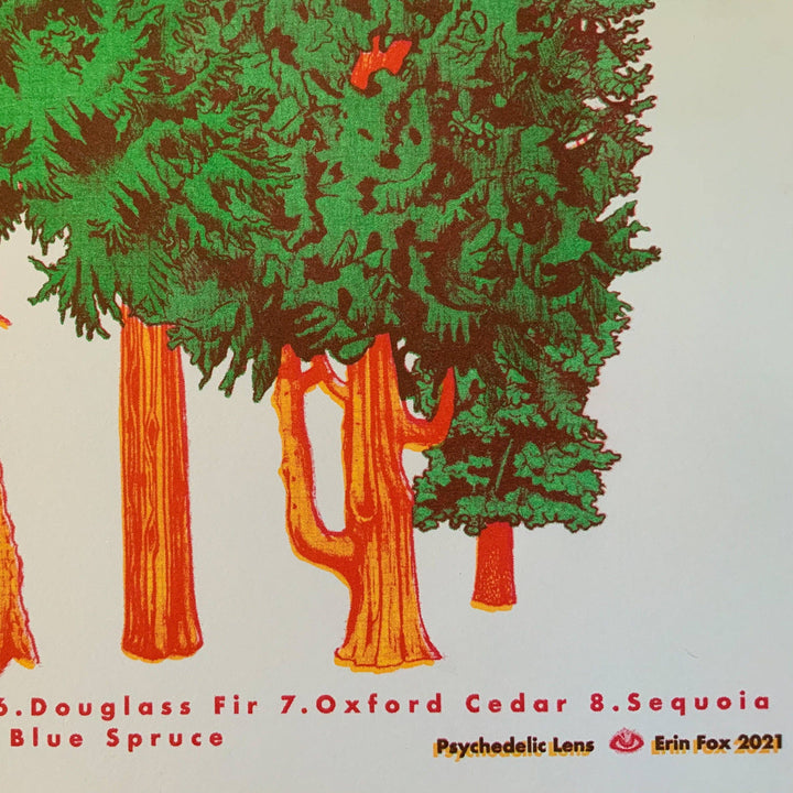 Conifer Tree Riso Print