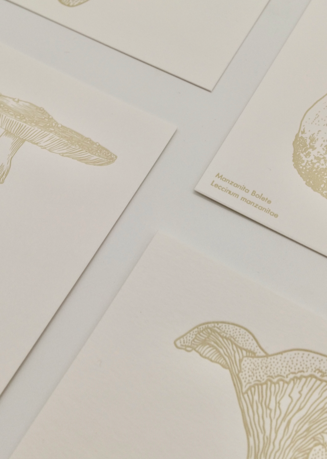 Watercolor Mushroom Postcards