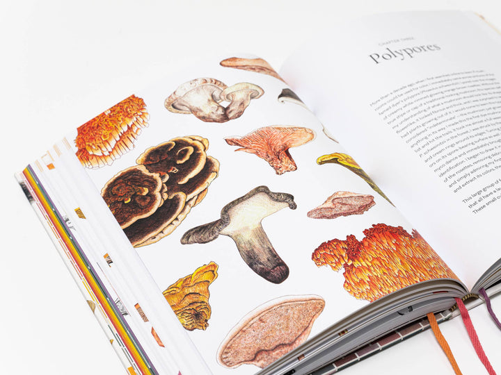 Mushroom Color Atlas