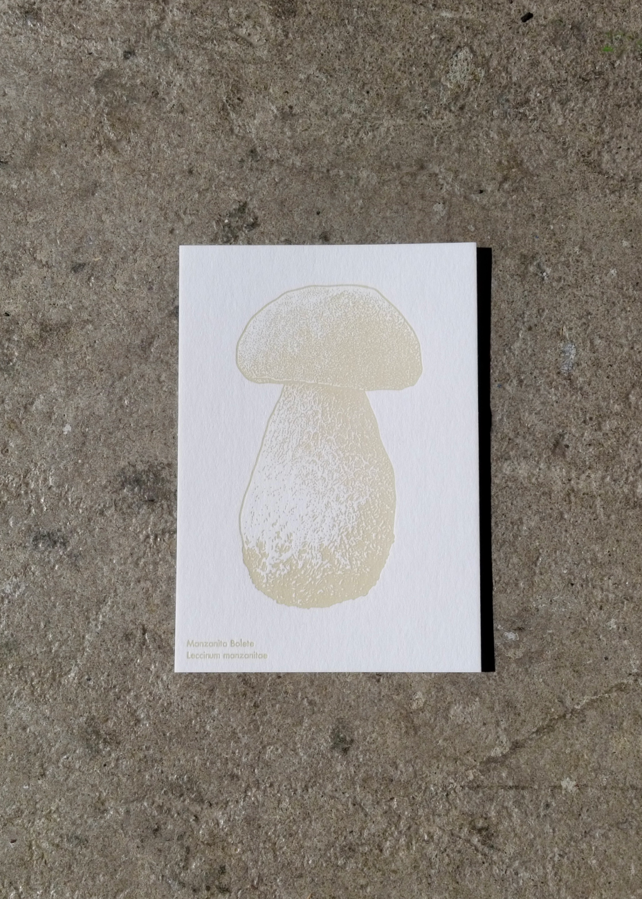 Watercolor Mushroom Postcards