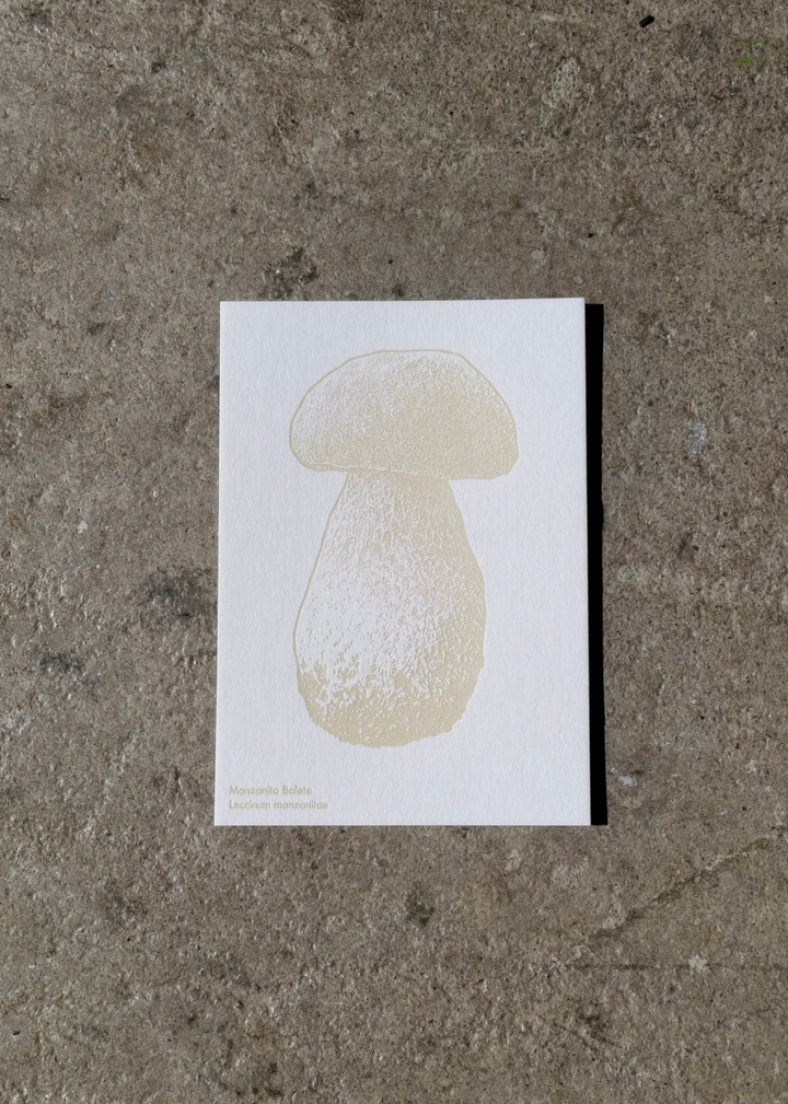 Watercolor Mushroom Postcards