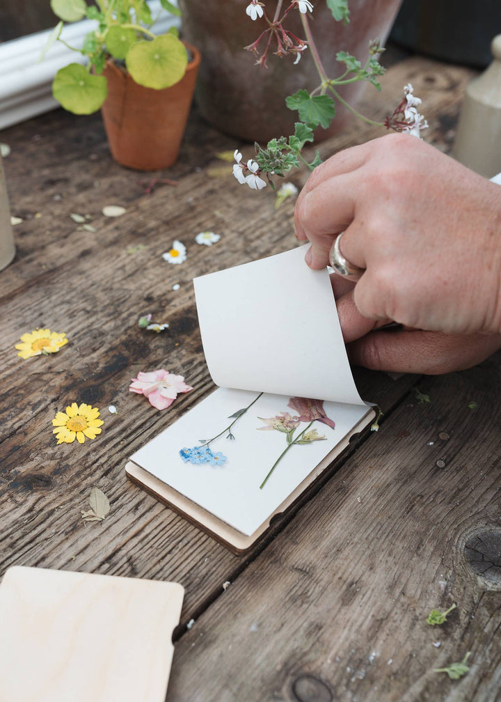 Pocket Flower Press - Dandelion