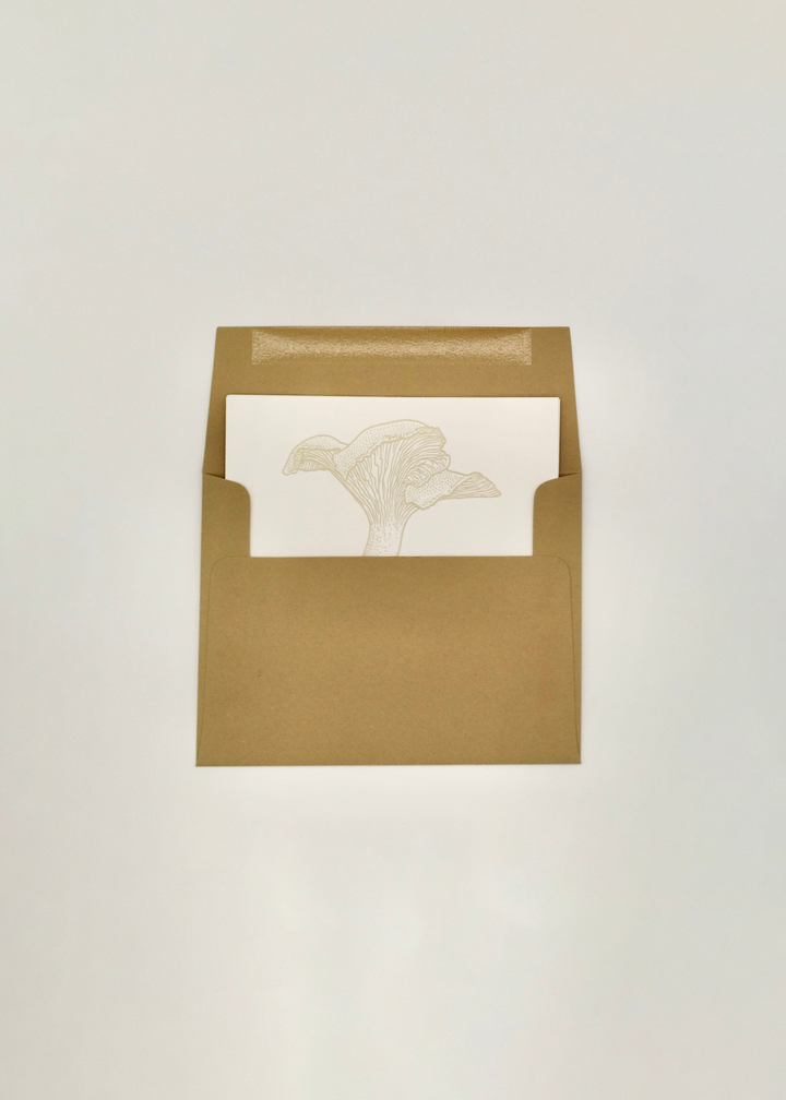 Watercolor Mushroom Postcards