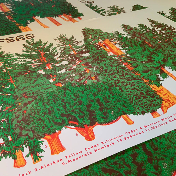 Conifer Tree Riso Print