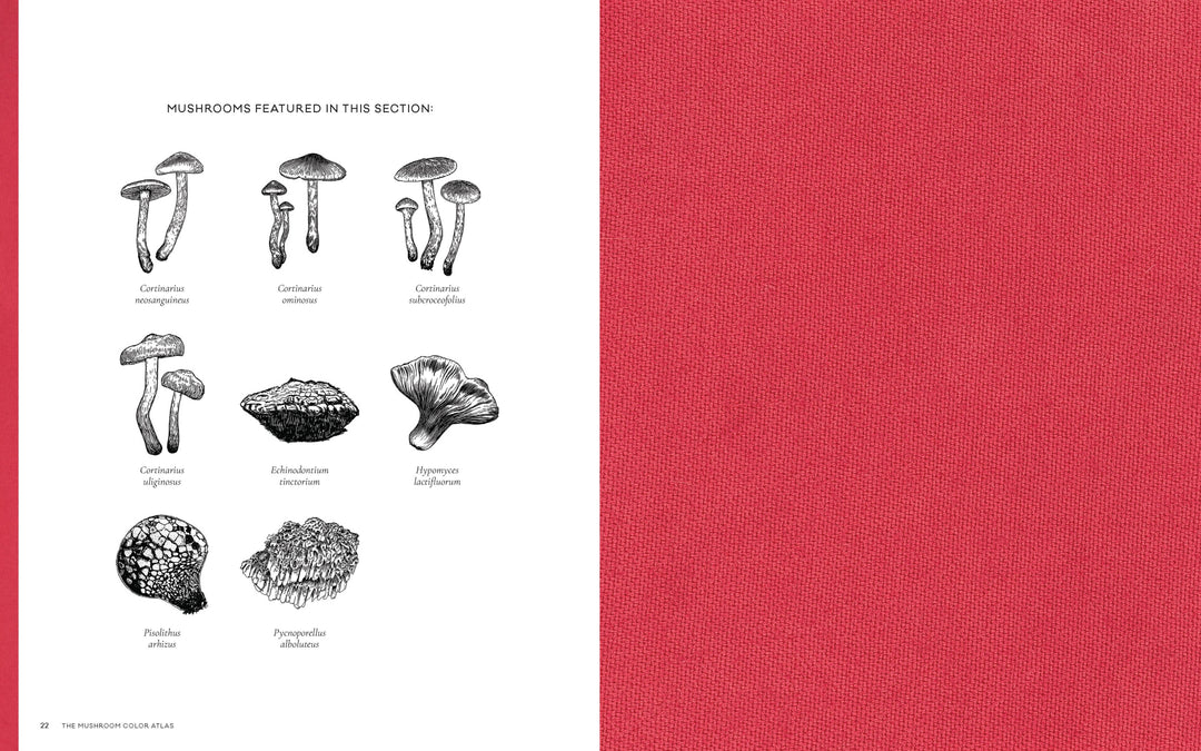 Mushroom Color Atlas