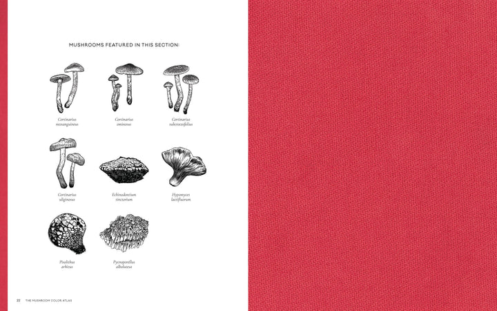 Mushroom Color Atlas
