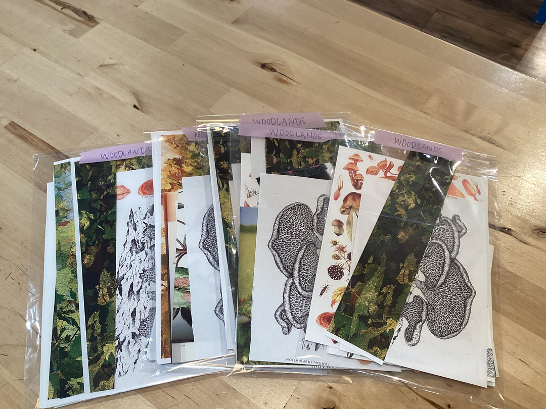 Collage Kits