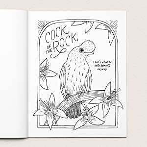 30 Dirty Birdies: An Adult Coloring Book