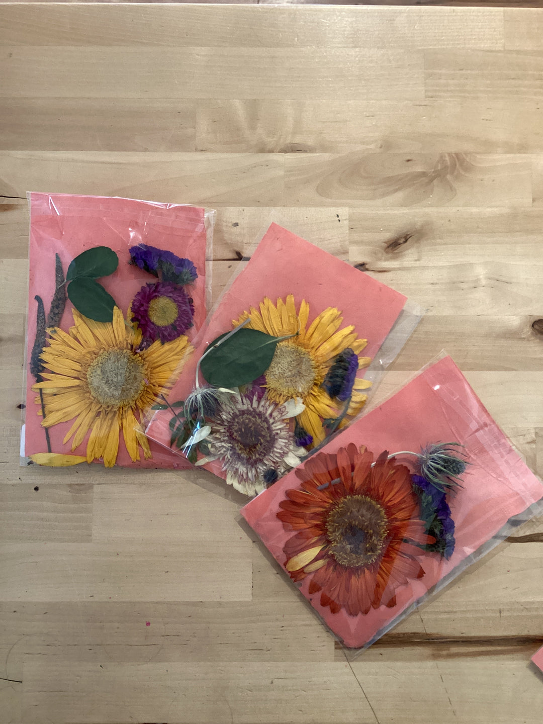 Pressed Flower Kits