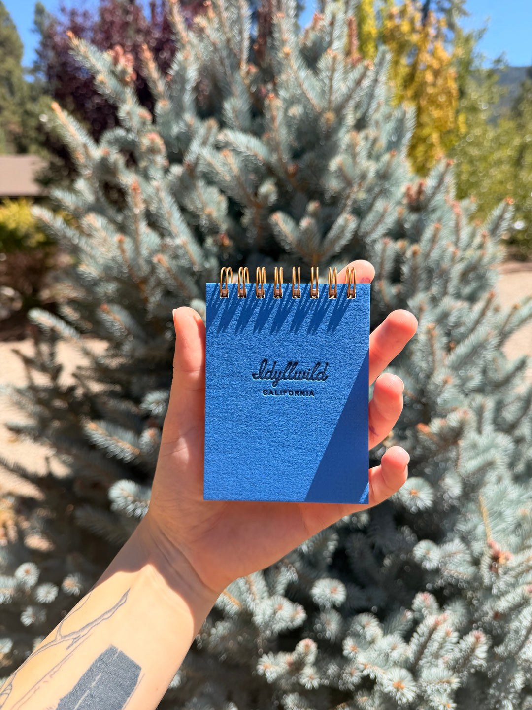 Idyllwild Mini Jotter Notebook