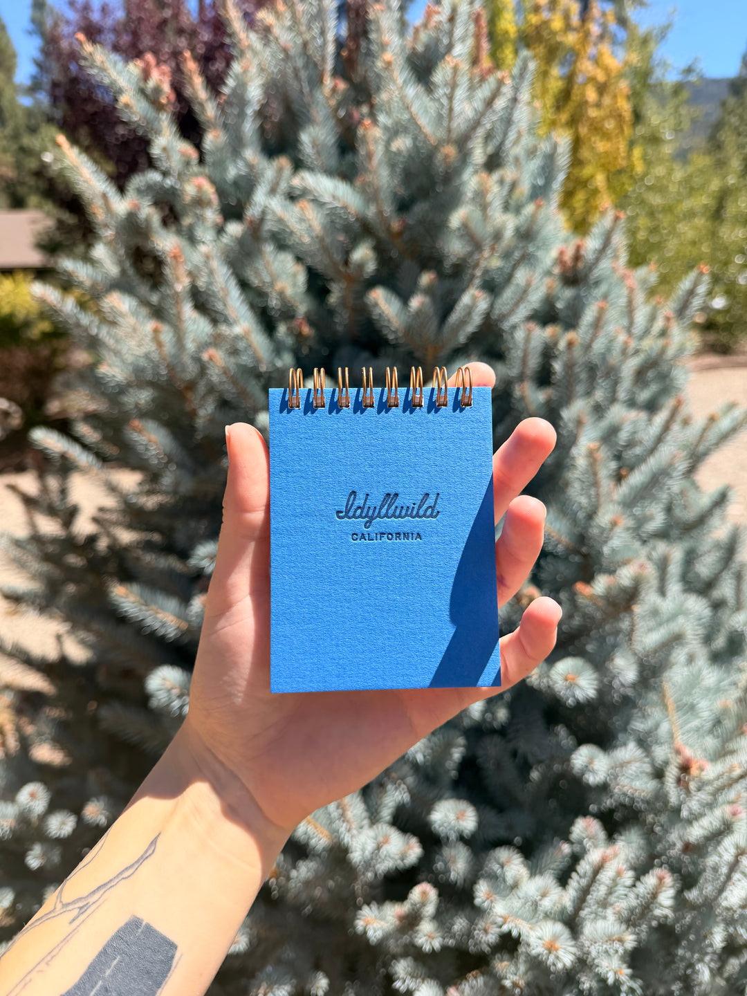 Idyllwild Mini Jotter Notebook