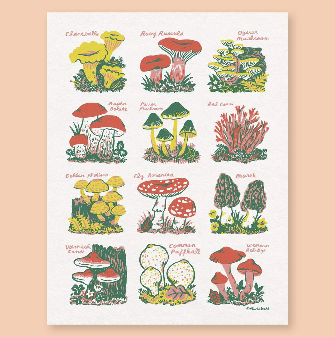 Mushrooms Pints by Phoebe Wahl