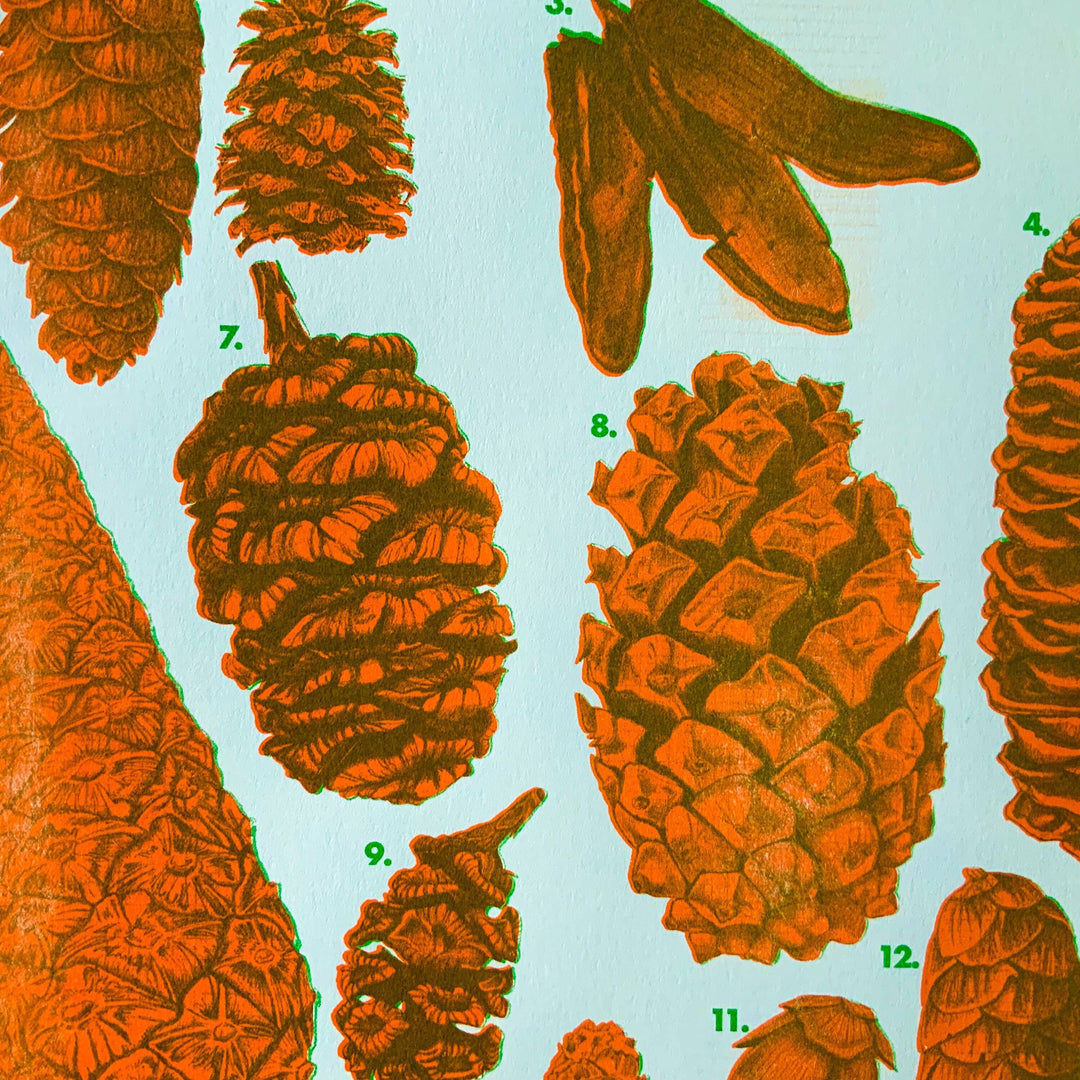 Pinecone ID Riso Print