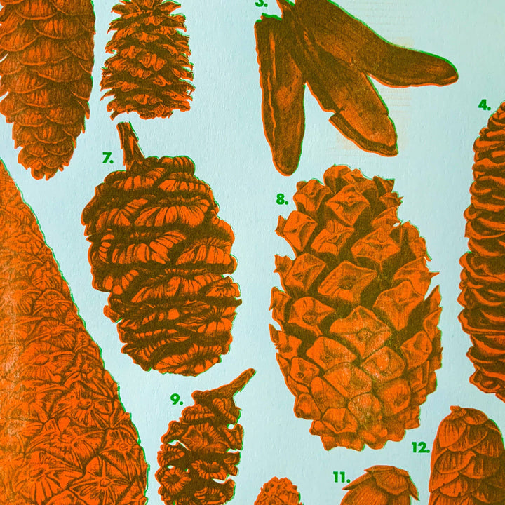 Pinecone ID Riso Print