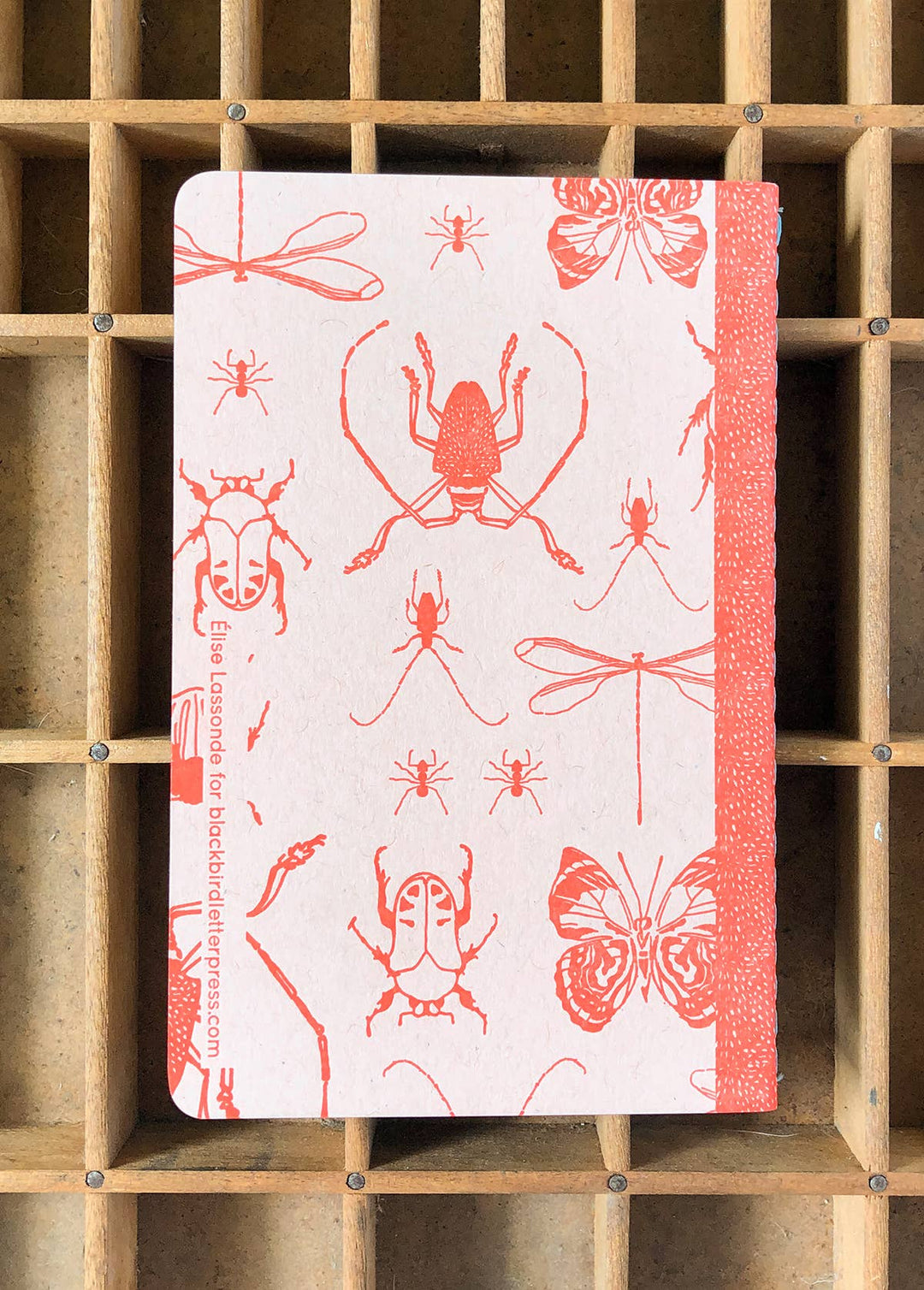 Insects Blank Notebook