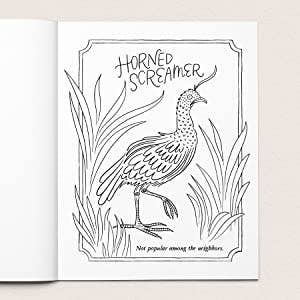 30 Dirty Birdies: An Adult Coloring Book