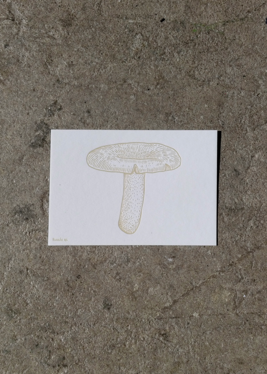 Watercolor Mushroom Postcards