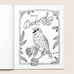30 Dirty Birdies: An Adult Coloring Book