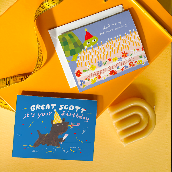 Turtle Birthday - Funny Birthday Card