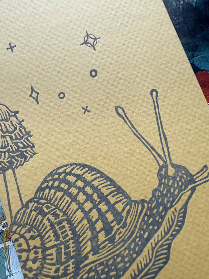 Snail and Mushrooms Sketchbook